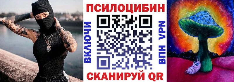 Купить  Циолковский  Псилоцибиновые грибы мухоморы 